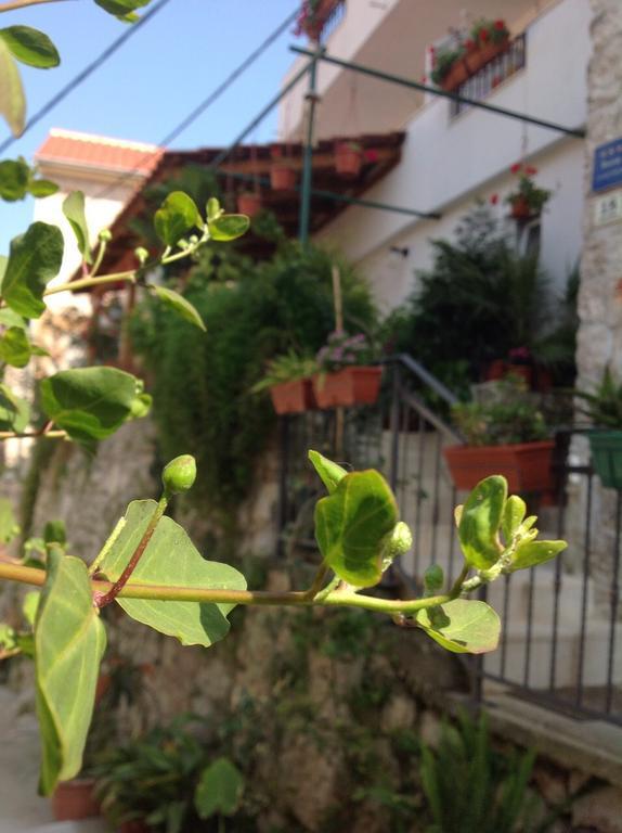 Ana Tudor Apartments Hvar Town Exterior photo